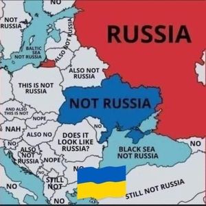 Meet your Posher, Ken